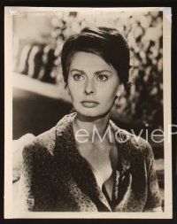 3j084 TWO WOMEN 15 8x10 stills '62 Vittorio De Sica's La Ciociara, terrified Sophia Loren!