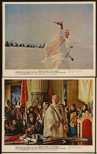 3j563 LAWRENCE OF ARABIA 10 color 8x10 stills '62 David Lean classic starring Peter O'Toole!