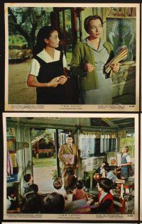 3j554 TWO LOVES 11 color EngUS 8x10 stills '61 cool images of Shirley MacLaine, Laurence Harvey!