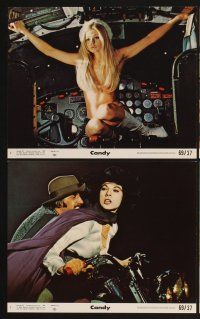 3j588 CANDY 8 8x10 mini LCs '68 great images of Ringo Starr & sexy Ewa Aulin in the title role!