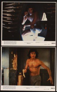 3j610 FLY 8 8x10 mini LCs '86 David Cronenberg sci-fi remake, Jeff Goldblum, Geena Davis!