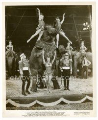 3k312 GREATEST SHOW ON EARTH 8x10 still '52 Gloria Grahame & sexy showgirls pose on elephant!