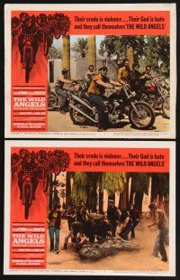3p991 WILD ANGELS 2 LCs '66 classic image of biker Peter Fonda & gang on motorcycles!