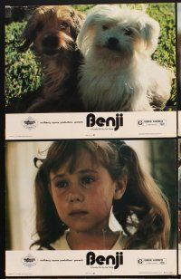 3p049 BENJI 6 LCs '74 & R75 Joe Camp, classic dog movie, wonderful images!