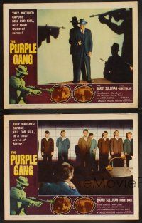 3p239 PURPLE GANG 4 LCs '59 Robert Blake, Barry Sullivan, they matched Al Capone crime for crime!