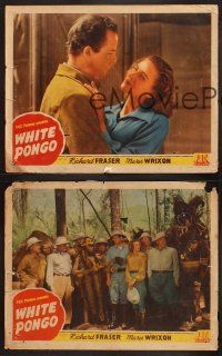 3p558 WHITE PONGO 3 LCs '45 pith helmeted Richard Fraser eyes Maris Wrixon in the jungle!