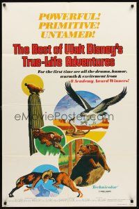 3s068 BEST OF WALT DISNEY'S TRUE-LIFE ADVENTURES 1sh '75 powerful, primitive, cool animal art!