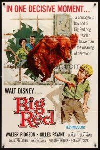 3s073 BIG RED 1sh '62 Disney, Walter Pigeon, artwork of Irish Setter dog jumping through window!