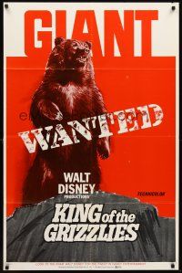 3s395 KING OF THE GRIZZLIES teaser 1sh '70 Disney, great artwork of giant bear on wanted poster!