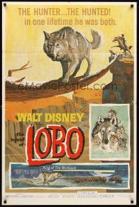 3s422 LEGEND OF LOBO 1sh '63 Walt Disney, King of the Wolfpack, cool artwork of wolf being hunted!