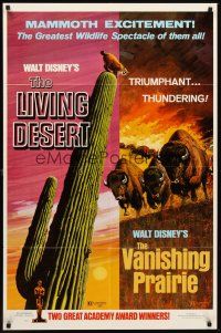 3s440 LIVING DESERT/VANISHING PRAIRIE 1sh '71 art from Walt Disney wildlife double-bill!