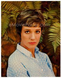 3t058 JULIE ANDREWS color 11x14 still '60s the great musical actress looking pensive!