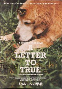 3t840 LETTER TO TRUE Japanese 7.25x10.25 '05 Bruce Weber, cute image of dog w/butterfly!