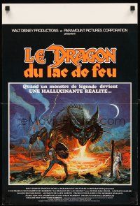 3x620 DRAGONSLAYER French 15x21 '81 cool fantasy artwork of Peter MacNicol w/spear, dragon!