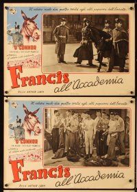 3x030 FRANCIS GOES TO WEST POINT 11 Italian pbustas '52 Donald O'Connor & wacky talking mule!