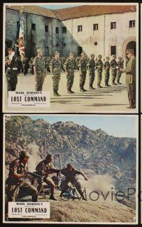 4b935 LOST COMMAND 7 French LCs '66 Anthony Quinn, Alain Delon & George Segal in Algeria!