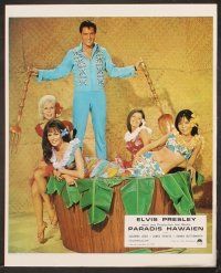 4b887 PARADISE - HAWAIIAN STYLE 8 style B French LCs '66 Elvis Presley, Suzanna Leigh, James Shigeta
