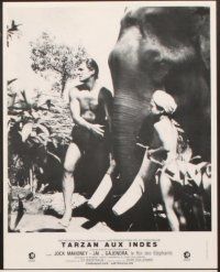 4b978 TARZAN GOES TO INDIA 6 French LCs R70s images of Jock Mahoney as the King of the Jungle!