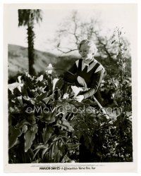 4h426 MARION DAVIES candid 8x10 still '30s working in her garden, she's a real horticulturalist!