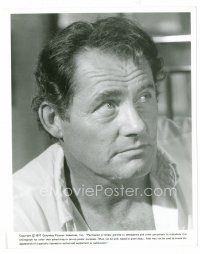 4h570 ROBERT SHAW 8x10 still '77 head & shoulders close up of the English actor from The Deep!