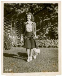 4h623 SHIRLEY TEMPLE candid 8x10 still '44 taking her English bulldog co-star for a walk on the lot!