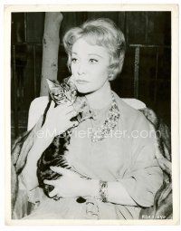 4h735 VIVIEN LEIGH 8x10 still '62 close up holding cat from The Roman Spring of Mrs. Stone!