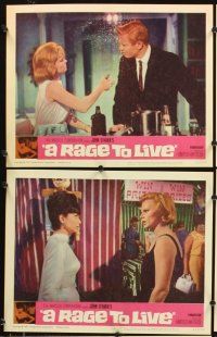 4m554 RAGE TO LIVE 8 LCs '65 Suzanne Pleshette, Peter Graves, from John O'Hara's novel!