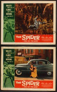 4m952 SPIDER 3 LCs '58 Bert I. Gordon sci-fi, Edward Kemmer, June Kenny, wild rope web!