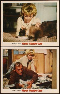 4m860 THAT DARN CAT 6 LCs '65 Hayley Mills Dean Jones & Disney Siamese feline!