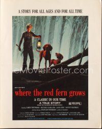4p421 WHERE THE RED FERN GROWS pressbook '74 great art of boy & dogs in forest by Ralph McQuarrie!