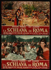 4r363 SLAVE OF ROME 12 Italian photobustas '61 Guy Madison, Podesta, sword & sandal gladiators!