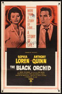 4z102 BLACK ORCHID 1sh '59 Anthony Quinn, Sophia Loren, a story of love, by Martin Ritt!
