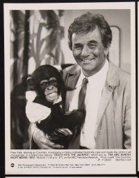 5a409 COLUMBO 9 TV 7x9 stills '75 Peter Falk with chimp, Little Richard, George Hamilton, Rip Torn!