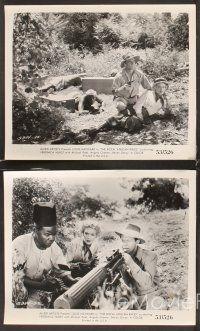 5a531 ROYAL AFRICAN RIFLES 5 8x10 stills '53 Louis Hayward & Veronica Hurst on the Dark Continent!