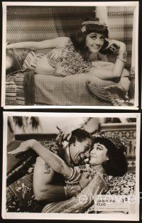 5a368 CARRY ON CLEO 12 English 8x10 stills '65 English sex on the Nile, sexy Amanda Barrie!
