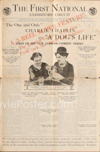 5d268 DOG'S LIFE promo brochure '18 silent, much information about Charlie Chaplin & his mutt!