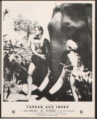 5g825 TARZAN GOES TO INDIA 6 French LCs R70s great image of Jock Mahoney as the King of the Jungle!