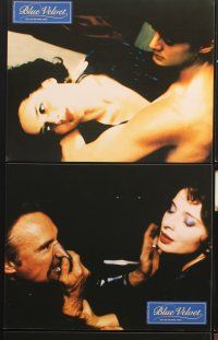 5g884 BLUE VELVET 12 German LCs '86 Isabella Rossellini, Kyle McLachlan, directed by David Lynch!