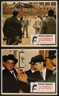 5g986 VALACHI PAPERS 8 Mexican LCs '72 directed by Terence Young, Charles Bronson in the mob!