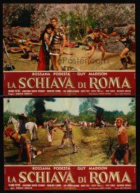 5j175 SLAVE OF ROME 11 Italian photobustas '61 Guy Madison, Podesta, sword & sandal gladiators!