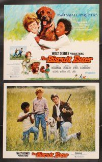5r023 BISCUIT EATER 9 LCs '72 Earl Holliman, Patricia Crowley & Walt Disney dogs!
