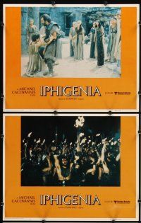 5r277 IPHIGENIA 8 LCs '78 Michael Cacoyannis' Ifigeneia, based on the tragedy by Euripides, Greek!