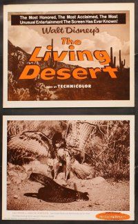 5r035 LIVING DESERT 9 LCs R60s first feature-length Disney True-Life adventure, snakes & tortoises!