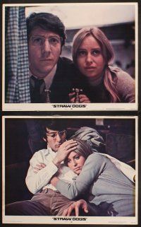 5r760 STRAW DOGS 7 LCs '72 Dustin Hoffman & Susan George, directed by Sam Peckinpah!