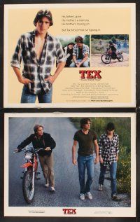 5r562 TEX 8 LCs '82 young Matt Dillon, Meg Tilly & Emilio Estevez, from S.E. Hinton's novel!