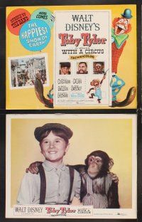 5r581 TOBY TYLER 8 LCs '60 Walt Disney, Kevin Corcoran, Mister Stubbs the chimpanzee, circus!