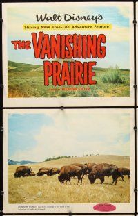 5r620 VANISHING PRAIRIE 8 LCs '54 a Walt Disney True-Life Adventure, cool images of wild animals!