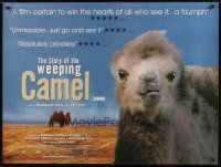 5w295 STORY OF THE WEEPING CAMEL British quad '03 cool image of the desert's favorite animal!