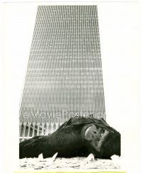 5z606 KING KONG 8x10 still '76 the giant ape is dead after falling from the World Trade Center!