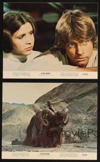 5z474 STAR WARS 8 8x10 mini LCs '77 Luke, Leia, Han, Obi-Wan, Chewbacca, George Lucas classic!